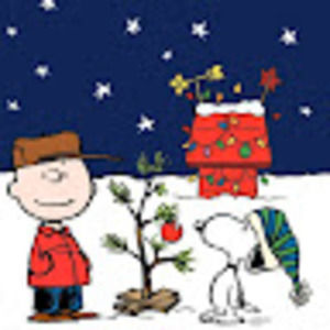 Meet your Posher, Claire